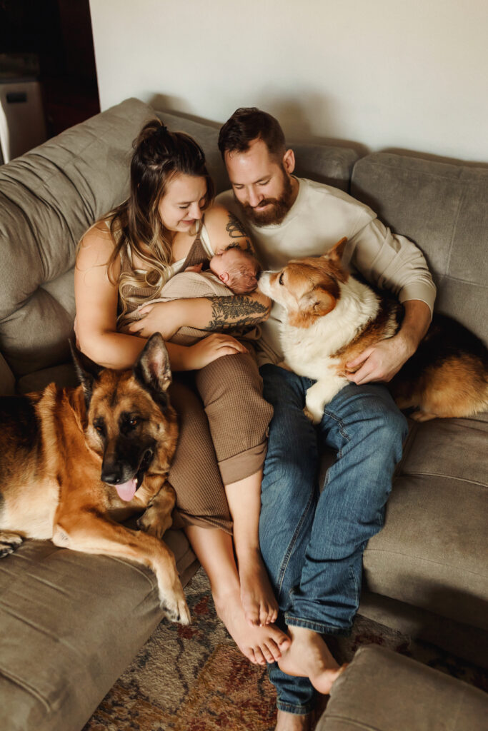 newborn photoshoot at home